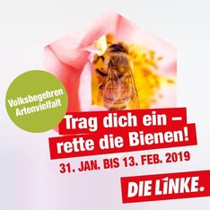 Rettet die Bienen!